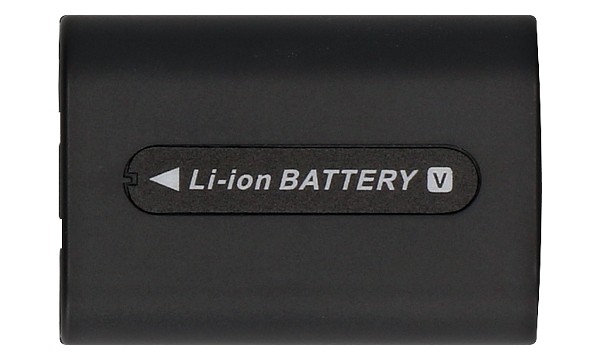 HDR-SR5E Batteria (2 Celle)