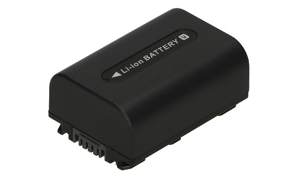 HDR-SR11E Batteria (2 Celle)