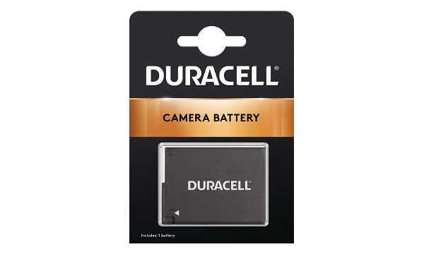 DMW-BLC12GK Batteria (2 Celle)