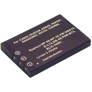 Caplio RR30 Batteria