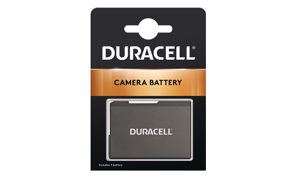 Digital SLR D3300 Batteria